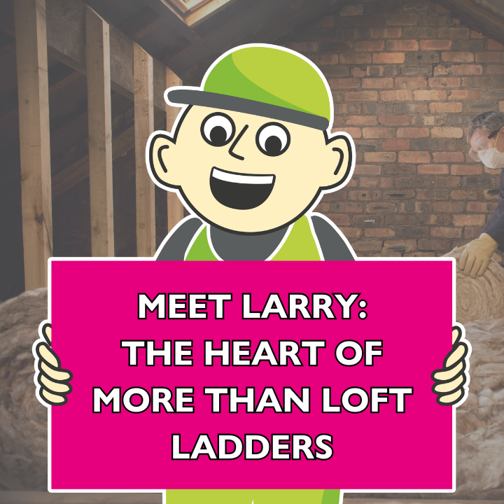 Introducing Larry The Heart of More Than Loft Ladders